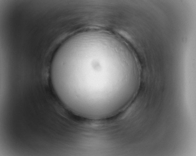 X0000089891355200707192007