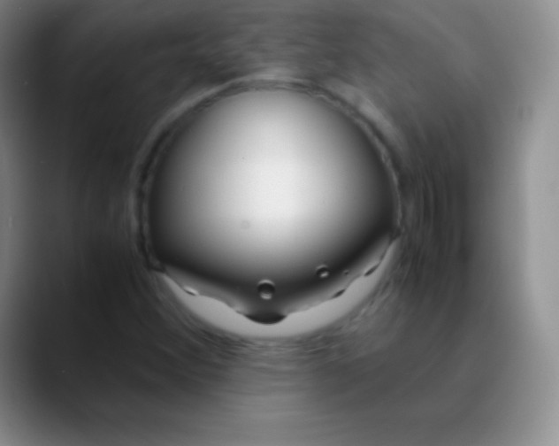 X0000089891356200707192007