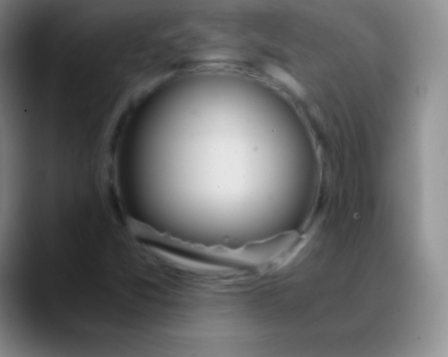 X0000089891357200707192007