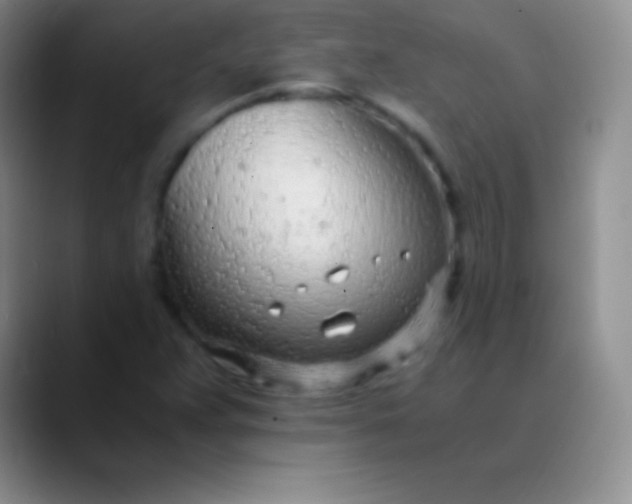 X0000089891359200707192007