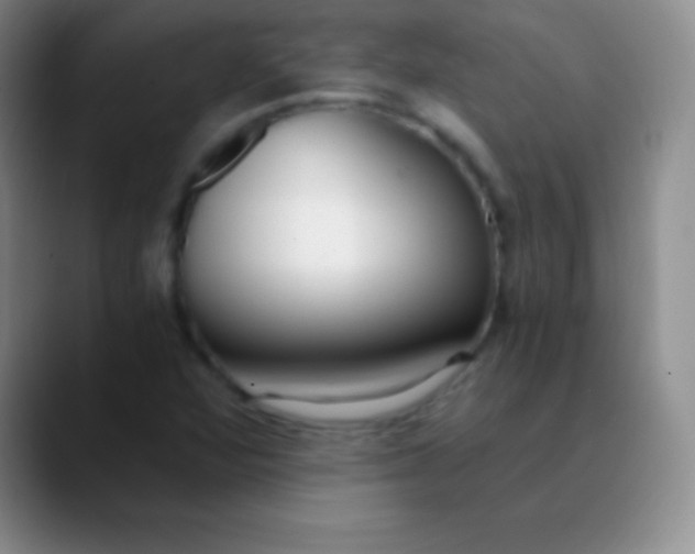 X0000089891360200707192007