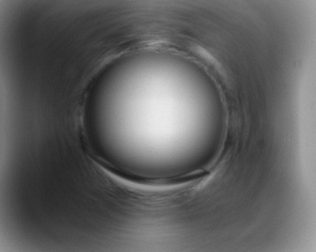 X0000089891361200707192007