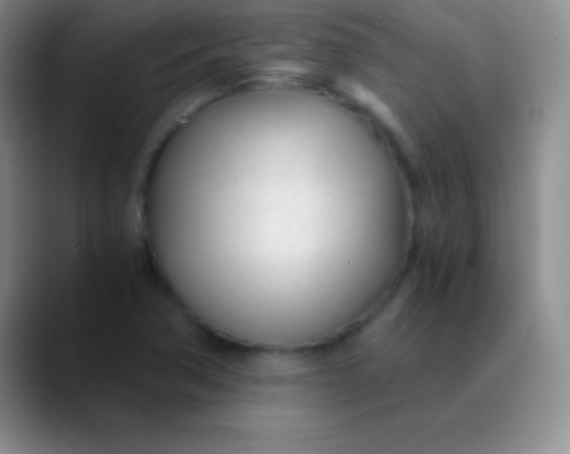 X0000089891362200707192007