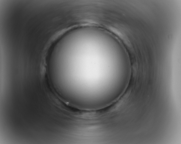 X0000089891363200707192007