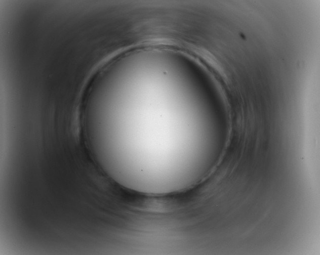 X0000089891364200707192007