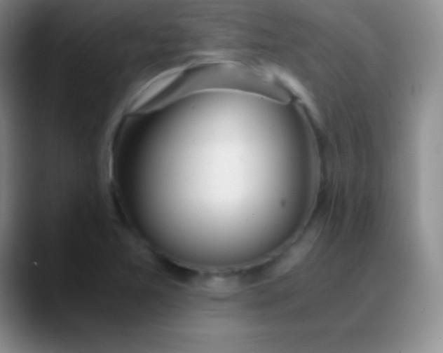 X0000089891365200707192007