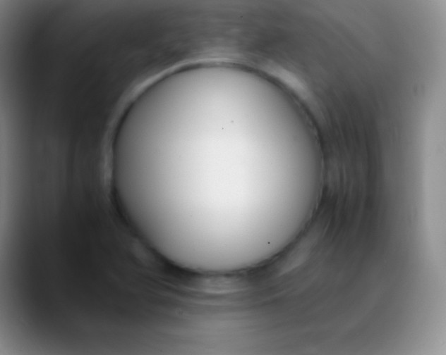 X0000089891366200707192007