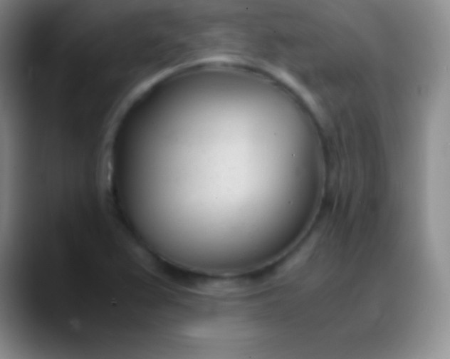 X0000089891367200707192007