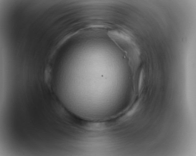 X0000089891369200707192007