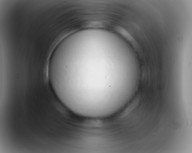 X0000089891370200707192007