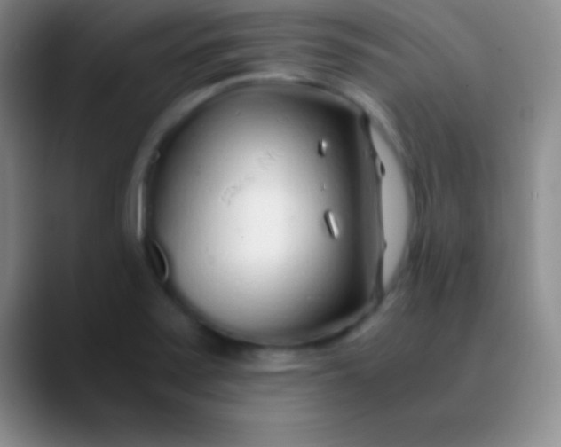 X0000089891371200707192007