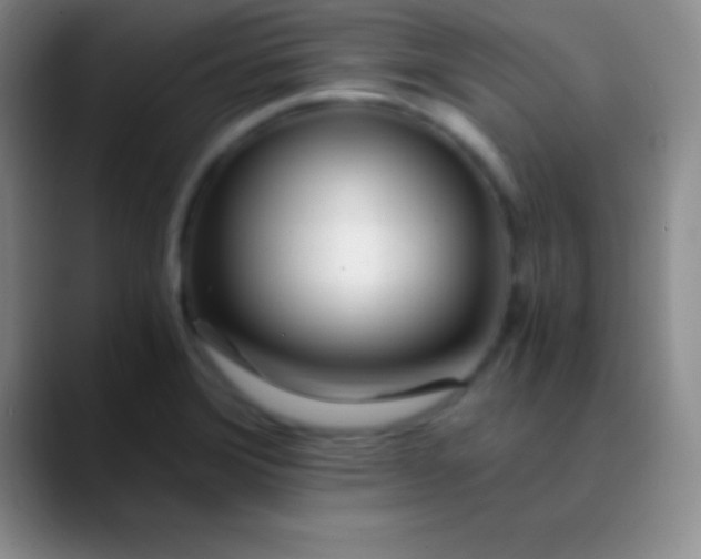 X0000089891372200707192007