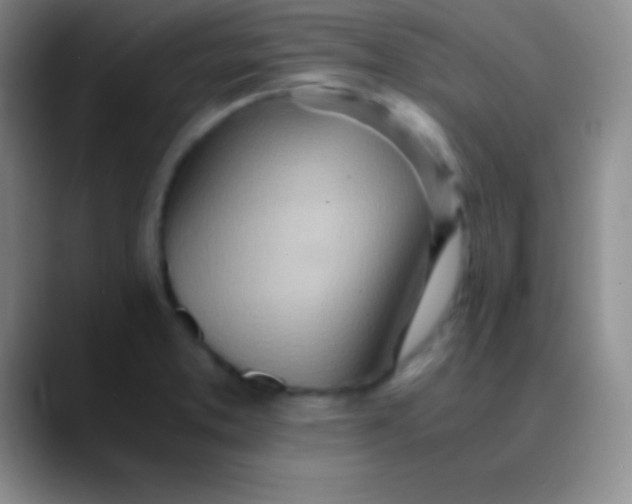 X0000089891373200707192007