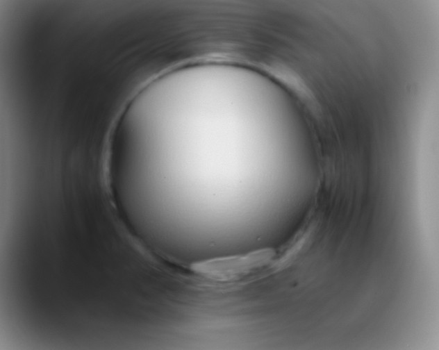 X0000089891374200707192007