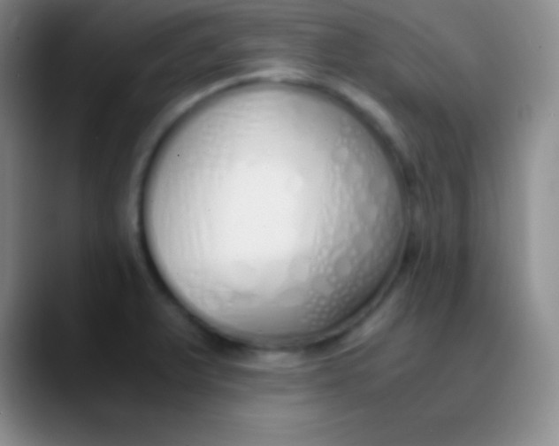 X0000089891375200707192007