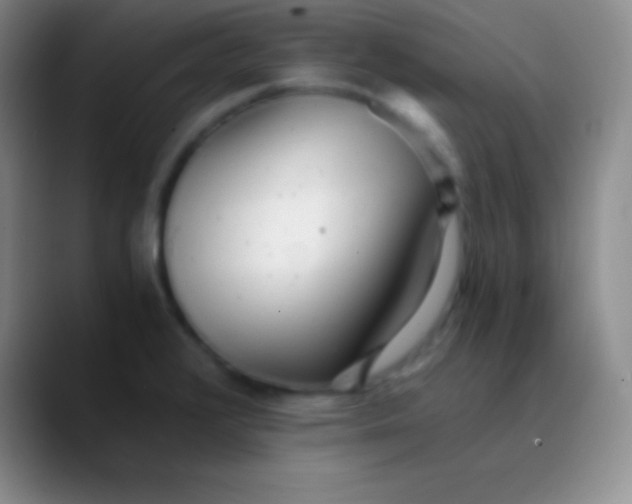 X0000089891376200707192006