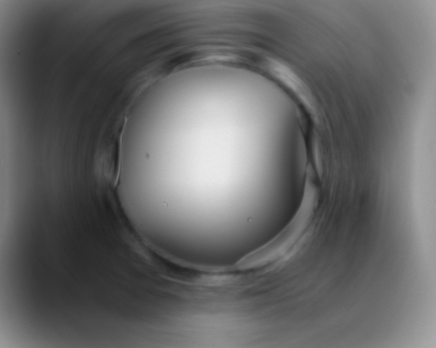 X0000089891377200707192006