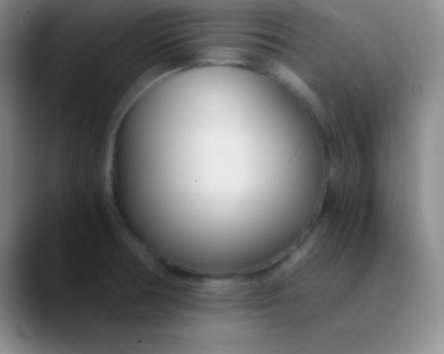 X0000089891378200707192006