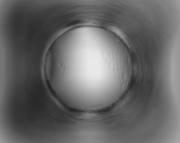 X0000089891379200707192006