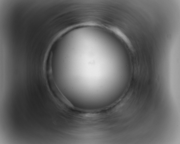 X0000089891380200707192006