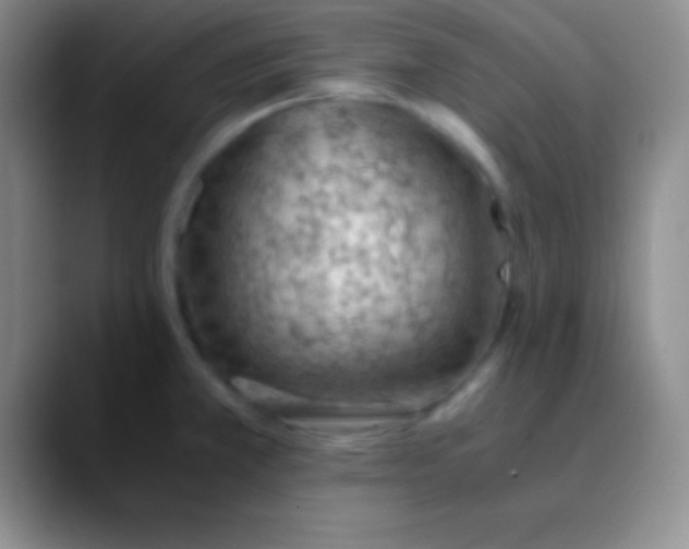 X0000089891381200707192006