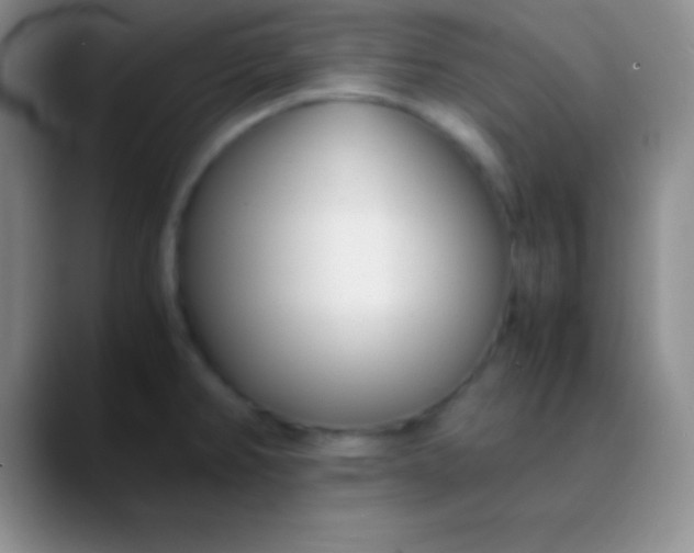 X0000089891382200707192006