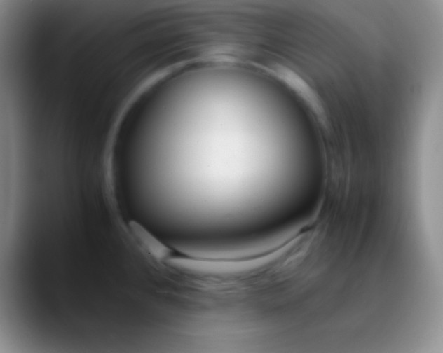 X0000089891384200707192006