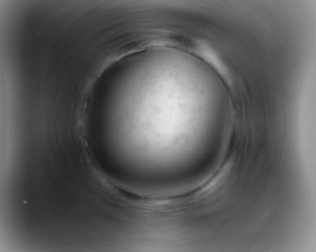 X0000089891385200707192006