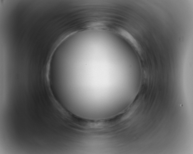 X0000089891386200707192006