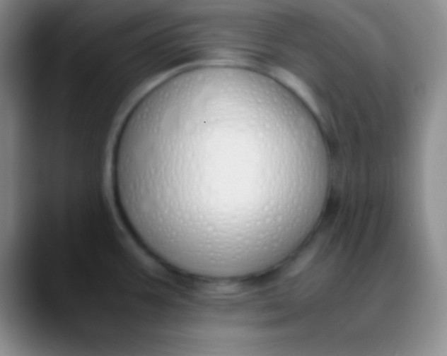 X0000089891387200707192006