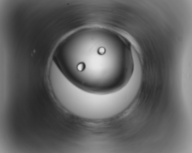 X0000089891388200707192006