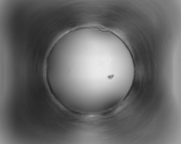 X0000089891390200707192006