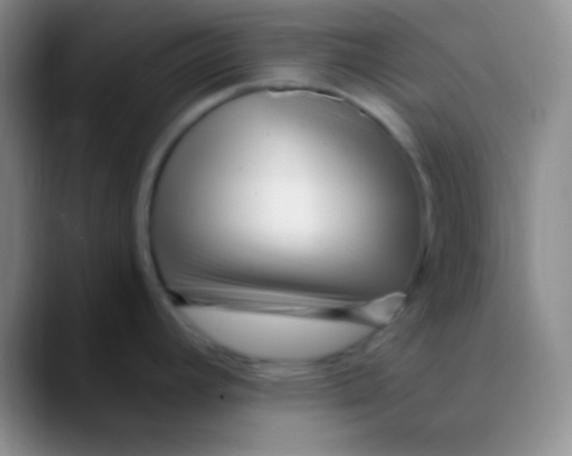 X0000089891392200707192006