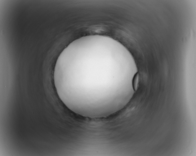 X0000089891393200707192006