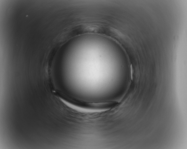 X0000089891394200707192006