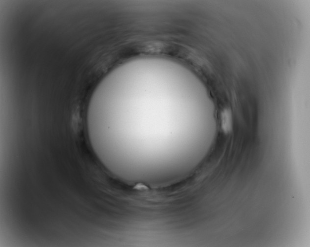 X0000089891395200707192006