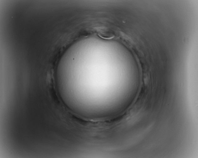 X0000089891397200707192006