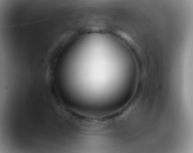 X0000089891398200707192006