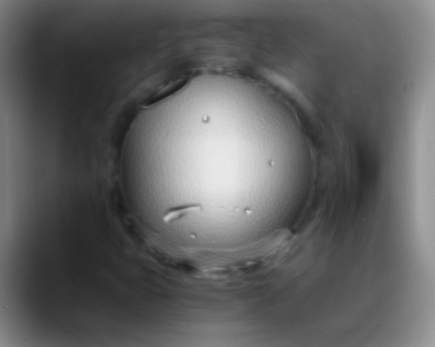 X0000089891399200707192006