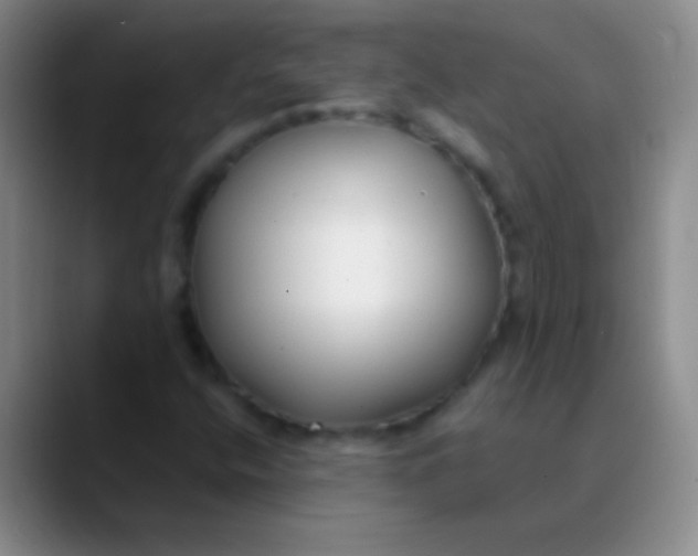 X0000089891400200707192006