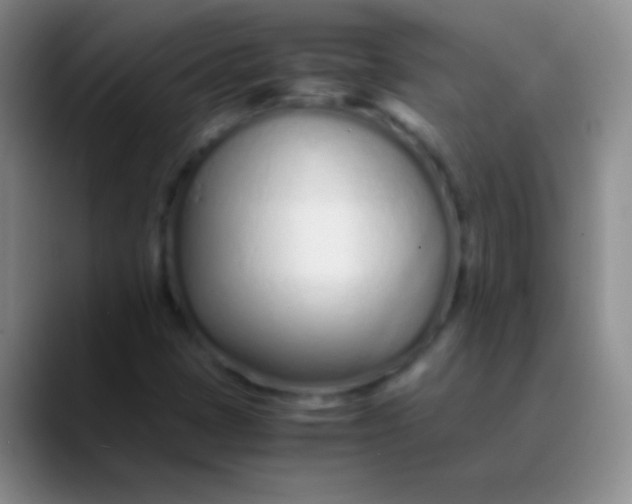 X0000089891401200707192006