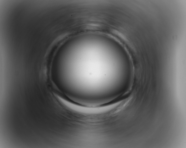 X0000089891402200707192006