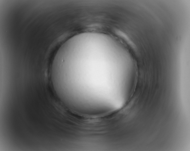 X0000089891403200707192006