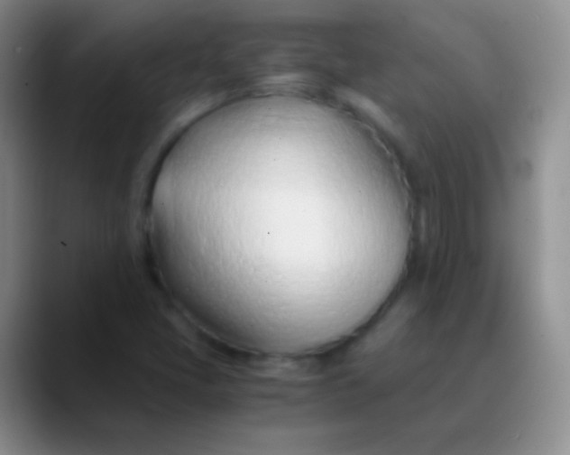 X0000089891405200707192006