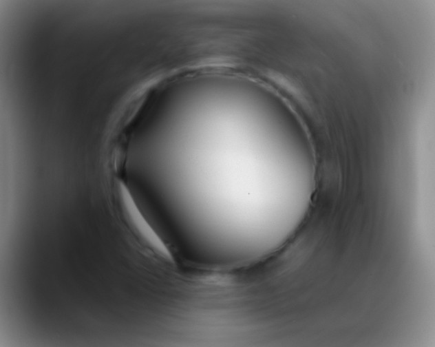 X0000089891406200707192006