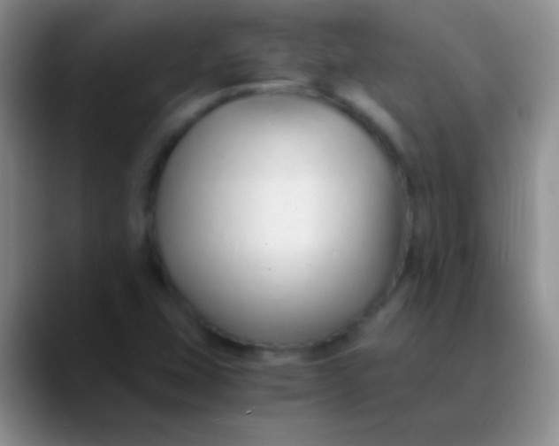 X0000089891407200707192006