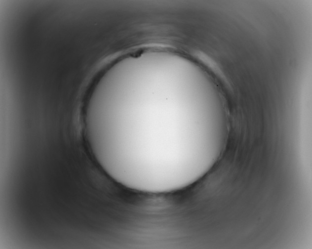 X0000089891408200707192006