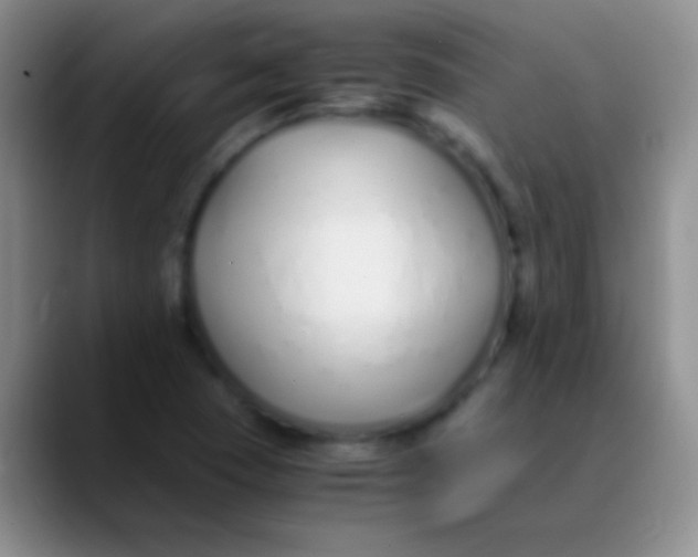 X0000089891409200707192006