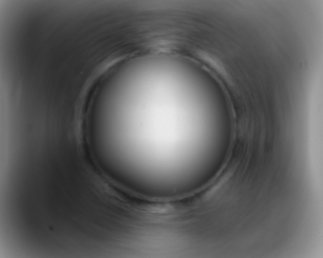 X0000089891410200707192006