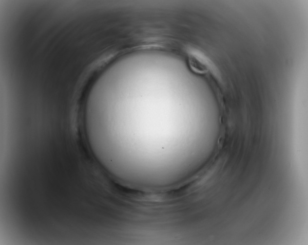 X0000089891411200707192006